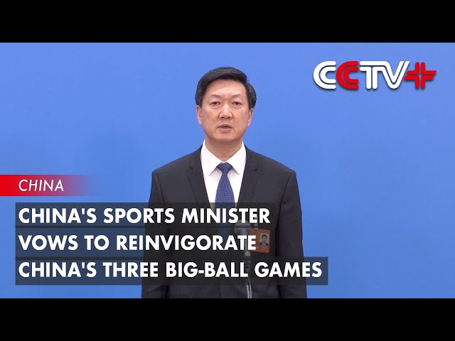 巴西球星奥